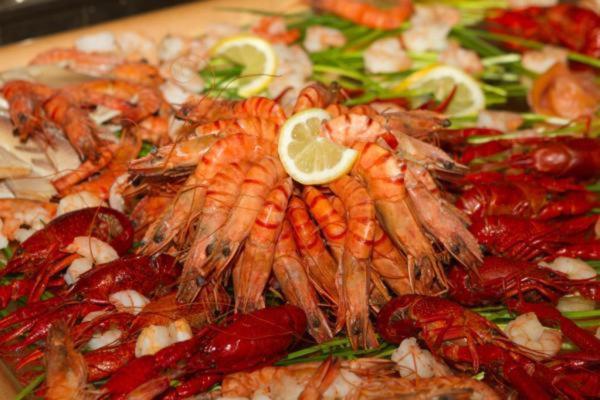Hotel Half Moon Airport Restaurant Римини Экстерьер фото
